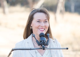 Tracy Todd Photo 13