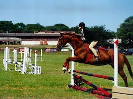 Tracy Todd Photo 17